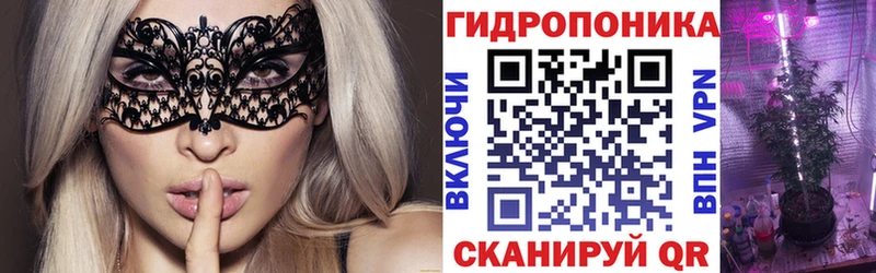 Шишки марихуана план  Купить закладки  Дегтярск 